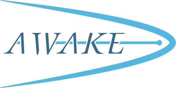 awake awake